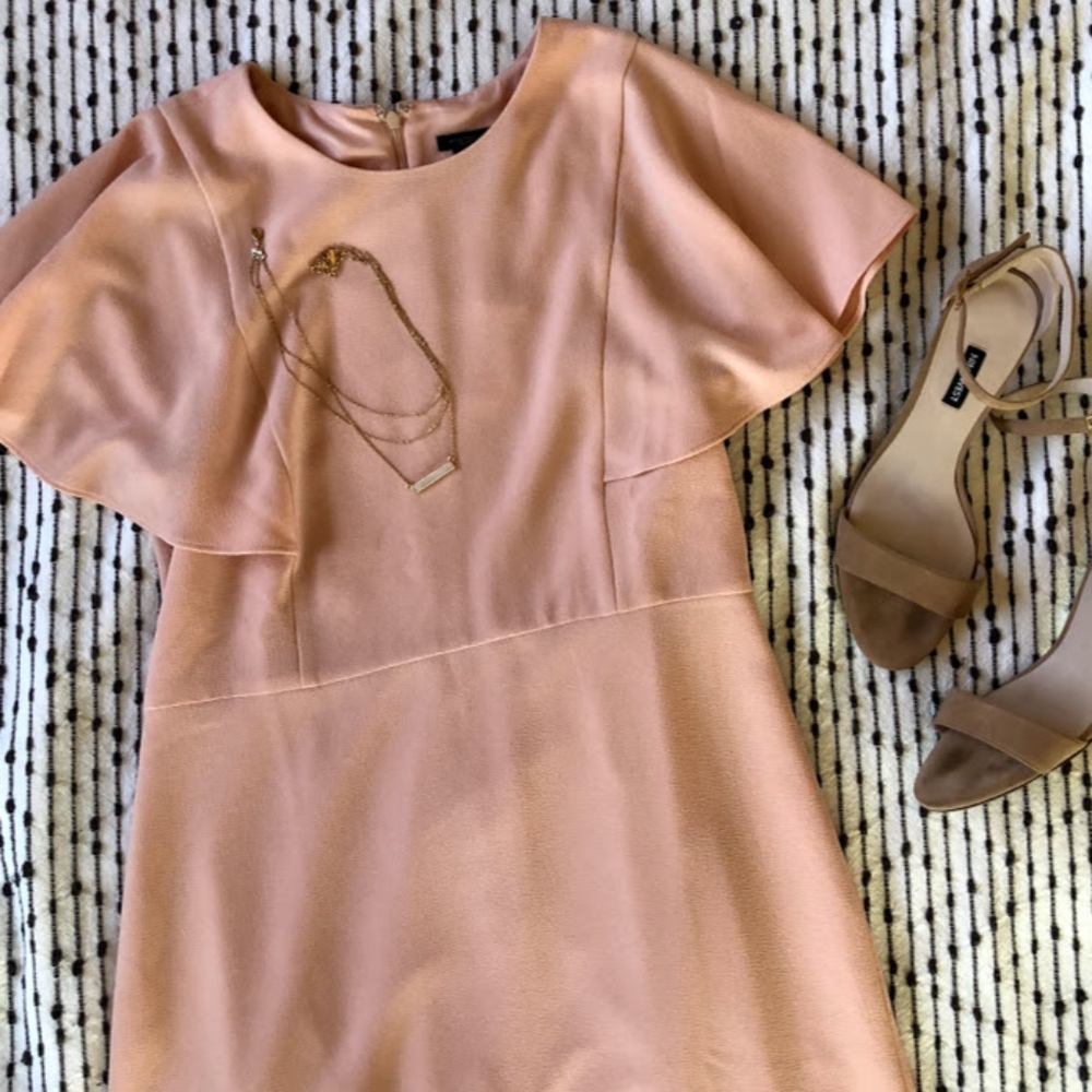 Ann Taylor Peach/Pink Dress Drapey Ruffle Sleeve